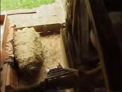 German soccer boys 2